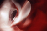 124538843_ddba994d06_m.jpg