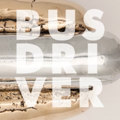 BUSDRIVER.jpg