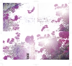LisM - reverso